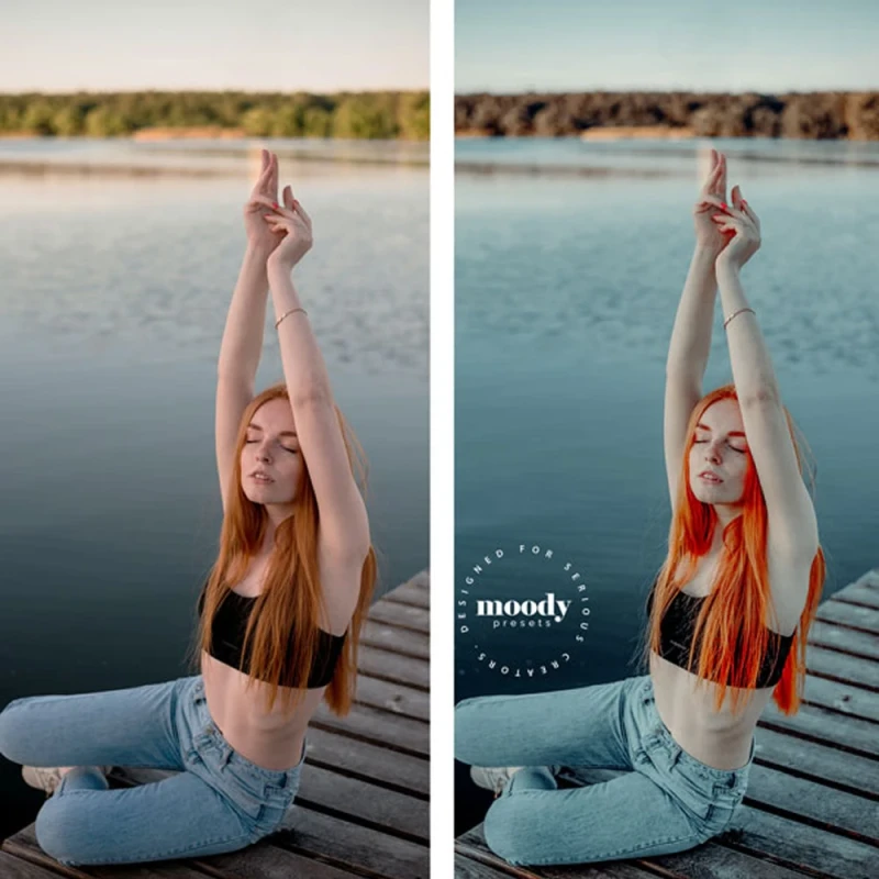 Moody Presets Master Collection Pack of 282 Presets
