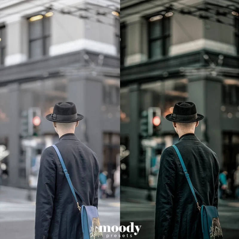 Moody Presets Master Collection Pack of 282 Presets