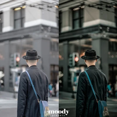 Moody Presets Master Collection Pack of 282 Presets