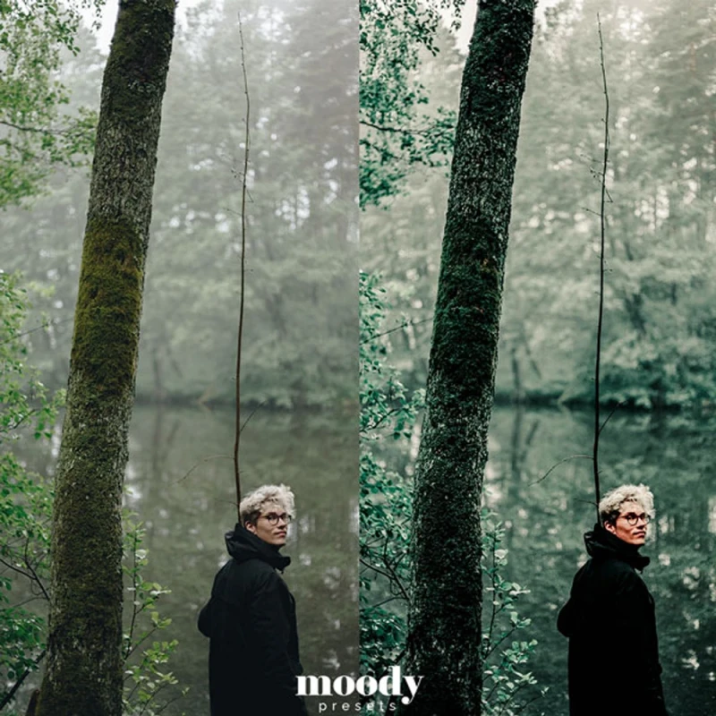 Moody Presets Master Collection Pack of 282 Presets