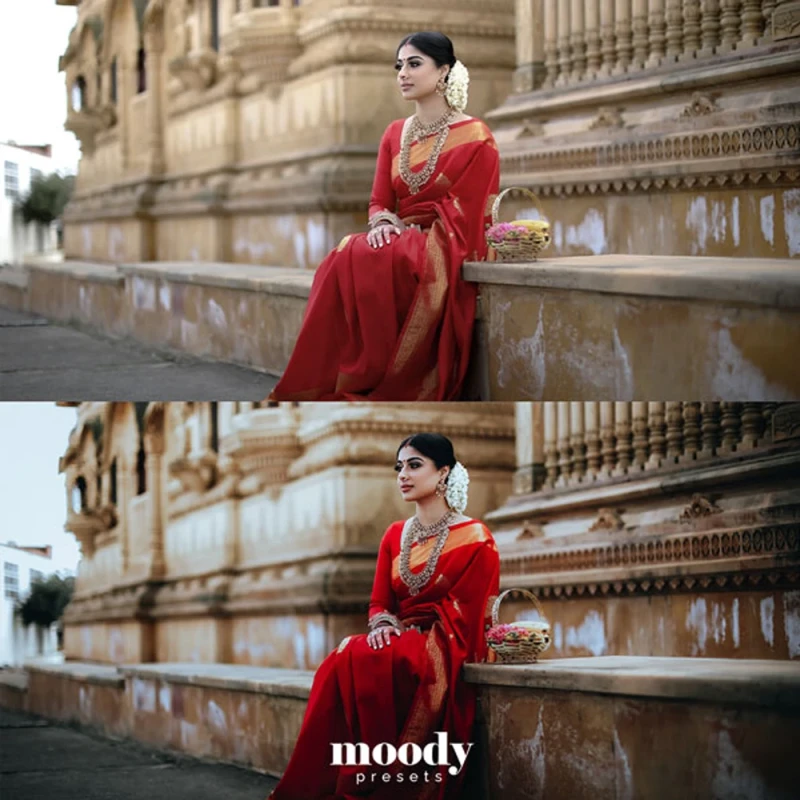 Moody Presets Master Collection Pack of 282 Presets