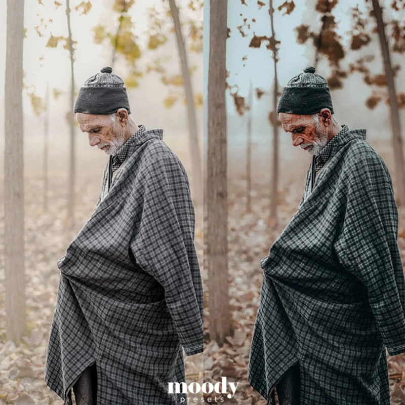 Moody Presets Master Collection Pack of 282 Presets