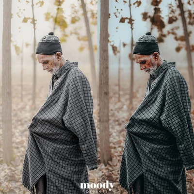 Moody Presets Master Collection Pack of 282 Presets