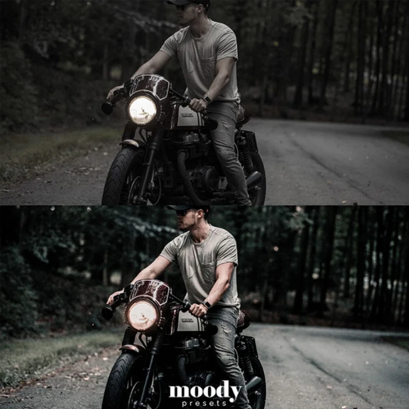 Moody Presets Master Collection Pack of 282 Presets