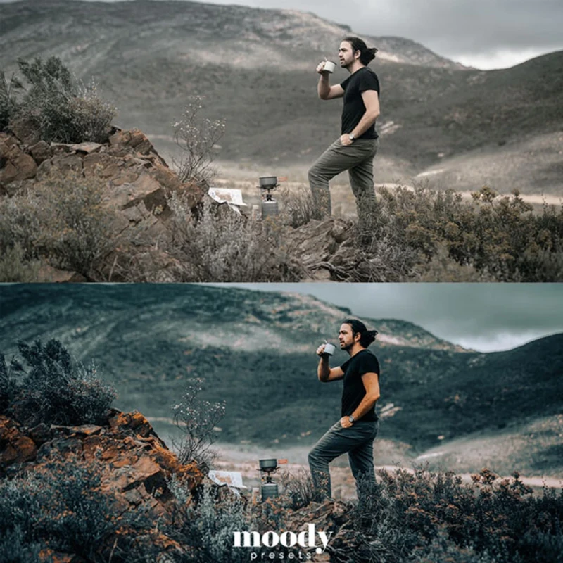 Moody Presets Master Collection Pack of 282 Presets