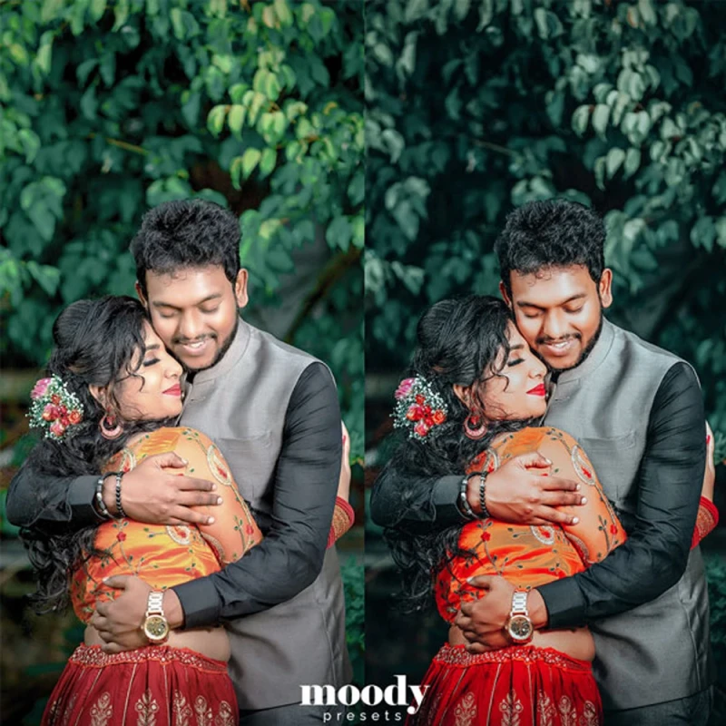 Moody Presets Master Collection Pack of 282 Presets