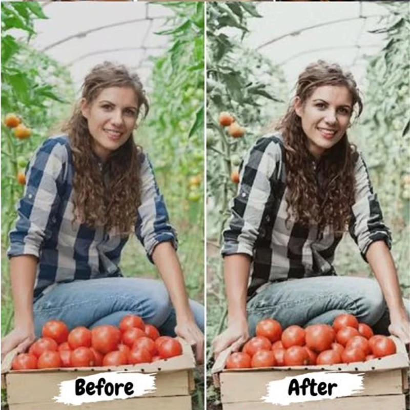 50 Food Mobile & Desktop Presets for Lightroom and LUTs