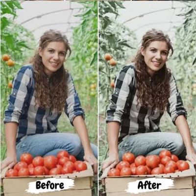 50 Food Mobile & Desktop Presets for Lightroom and LUTs