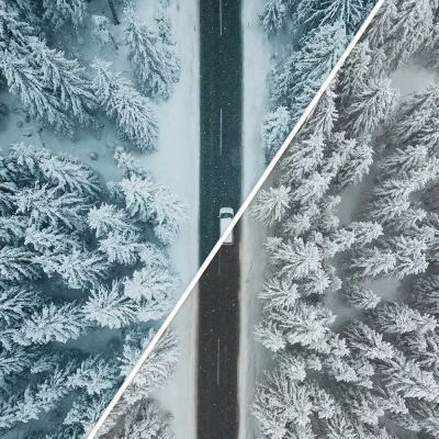 Manuel Dietrich Winter Presets