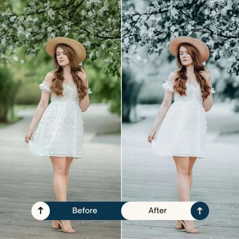 Presetsroom Life Style Lightroom Presets &amp; LUTs Collection