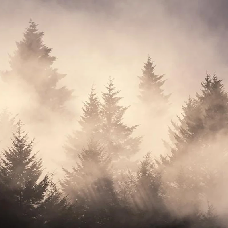 Michael Shainblum Landscape Photography Lightroom Toolkit