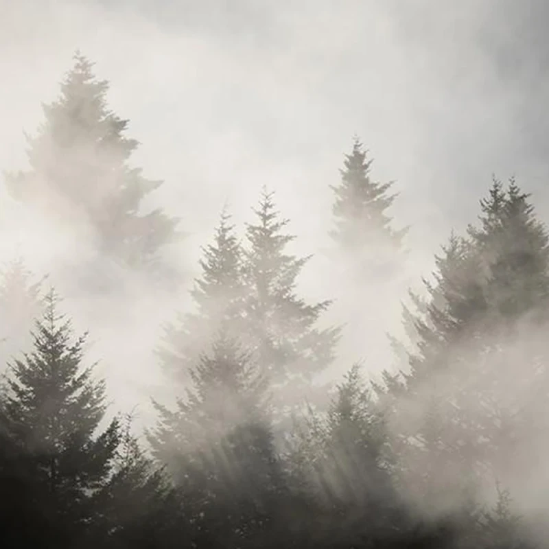 Michael Shainblum Landscape Photography Lightroom Toolkit
