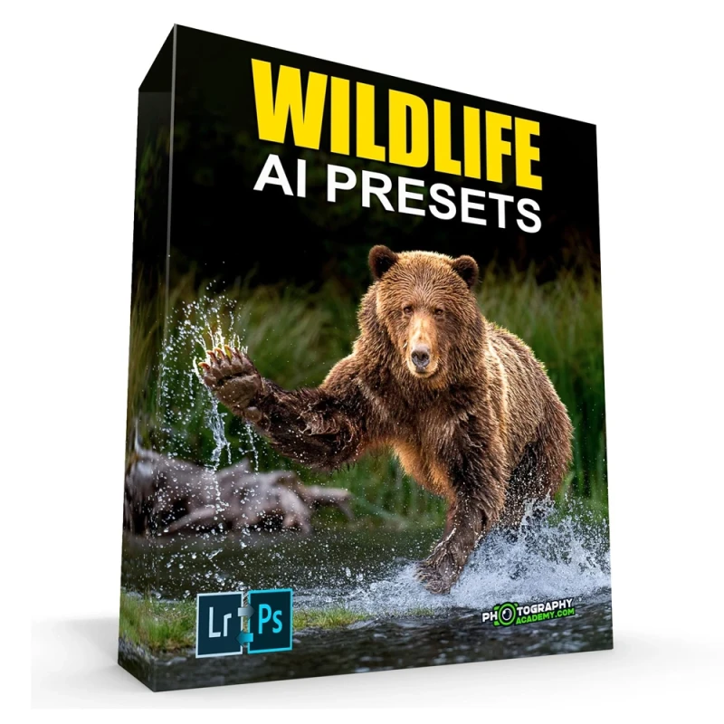 Photography Academy AI Photography Presets