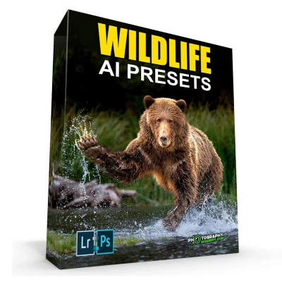 Photography Academy AI Photography Presets