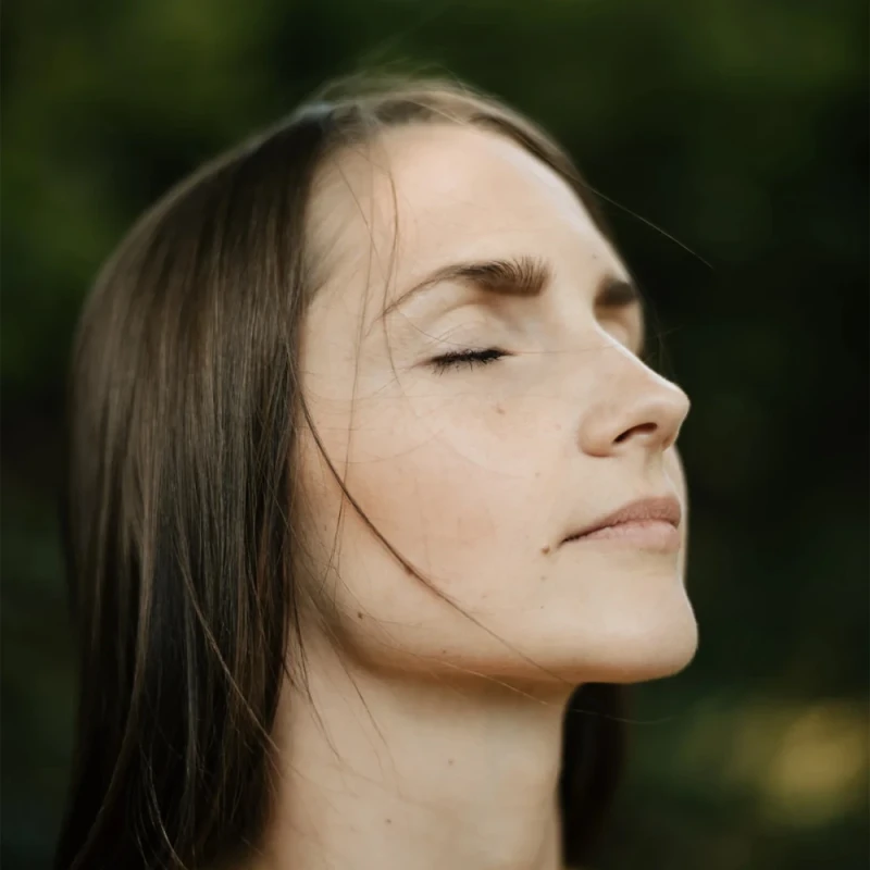 The Classic Presets Classic CineStock Profiles for Lightroom