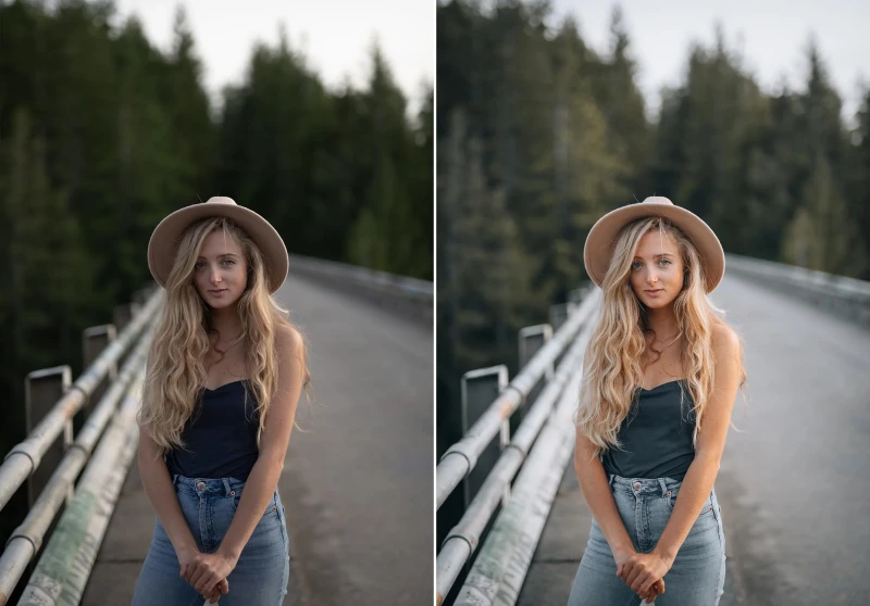 WithLuke Lightroom Presets The Master Collection