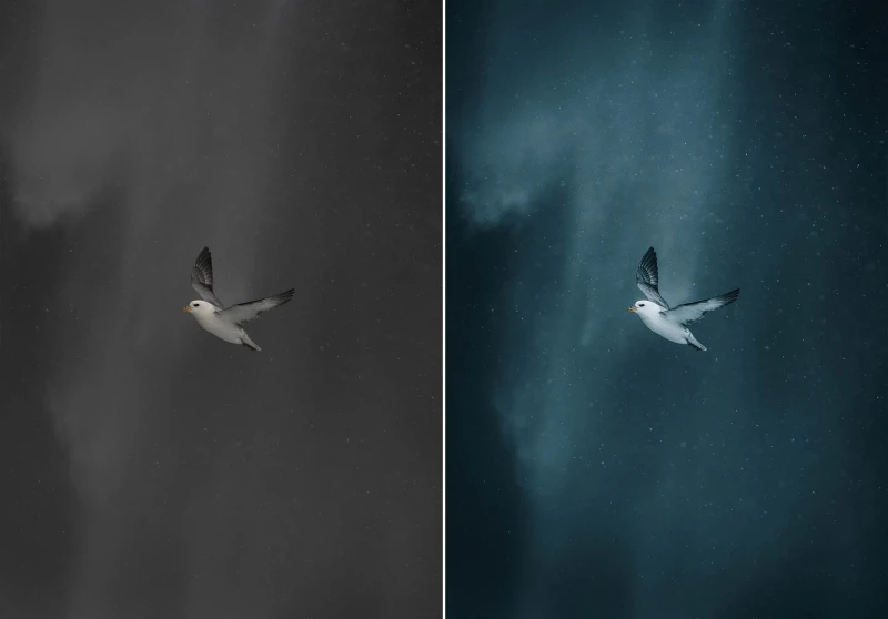 WithLuke Lightroom Presets The Master Collection