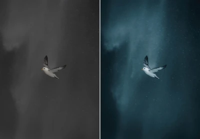 WithLuke Lightroom Presets The Master Collection
