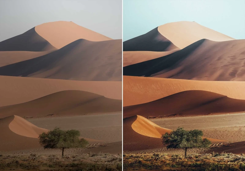 WithLuke Lightroom Presets The Master Collection