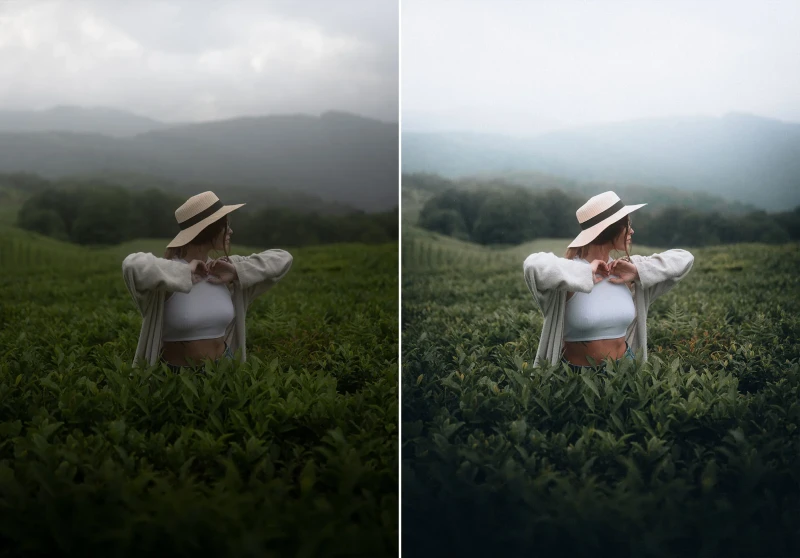 WithLuke Lightroom Presets The Master Collection