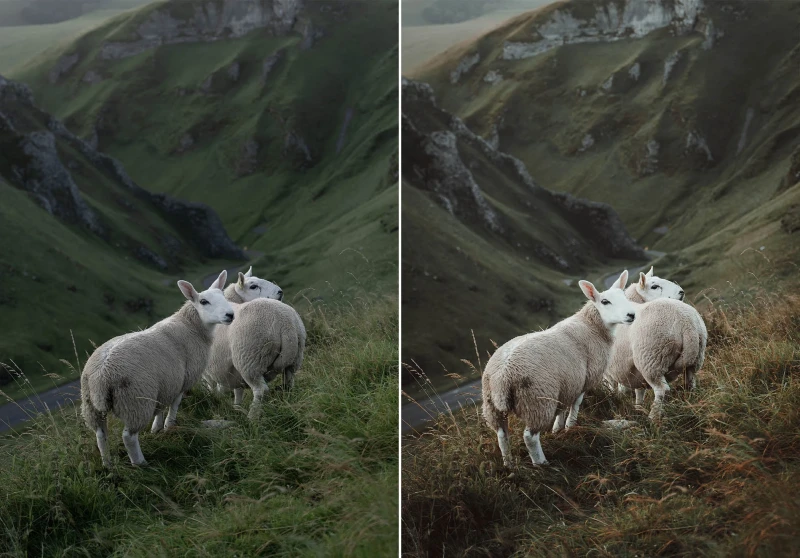 WithLuke Lightroom Presets The Master Collection