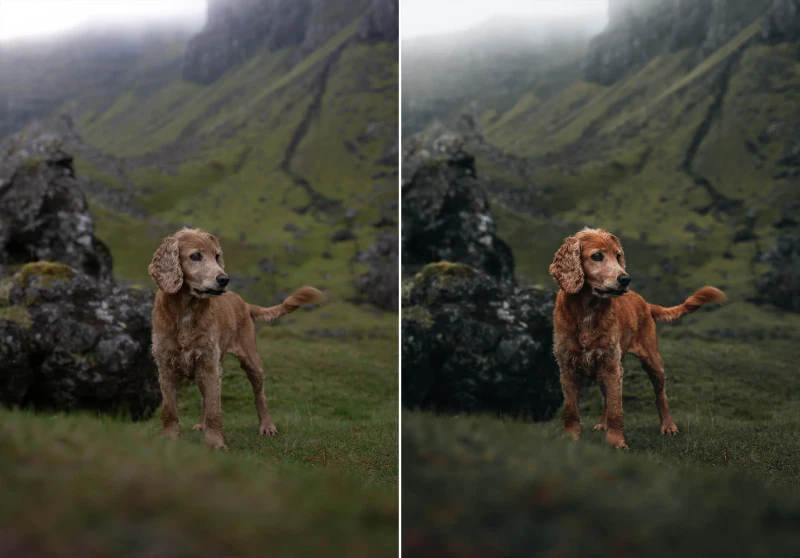 WithLuke Lightroom Presets The Master Collection