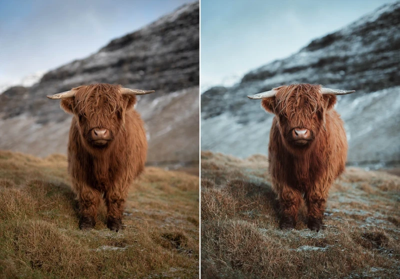 WithLuke Lightroom Presets The Master Collection
