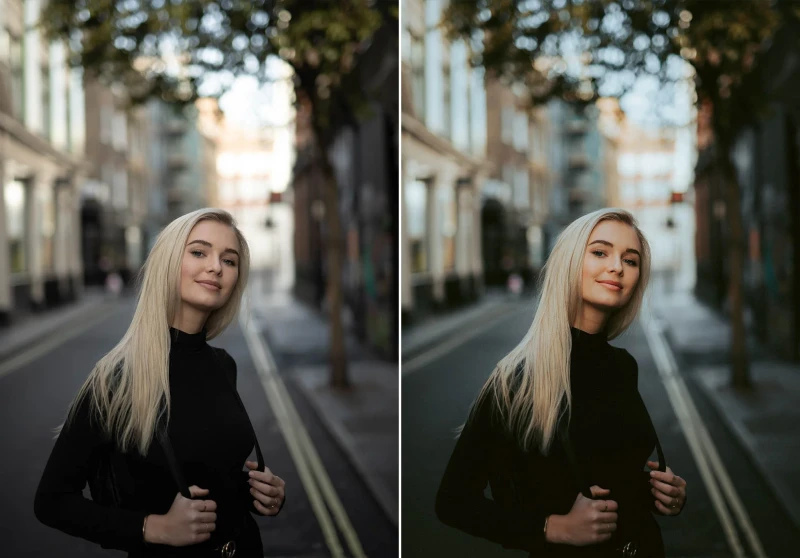 WithLuke Lightroom Presets The Master Collection