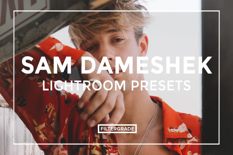 Sam Dameshek Lightroom Presets Image 1