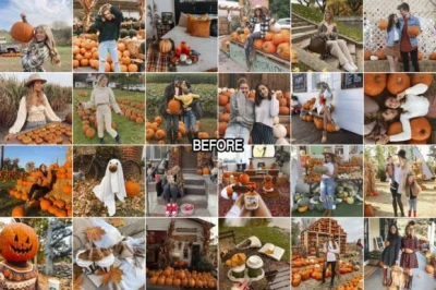 Warm Mobile & Desktop Lightroom Presets Bundle