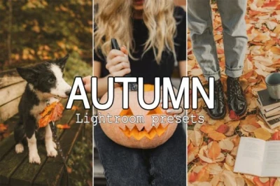 Warm Mobile & Desktop Lightroom Presets Bundle