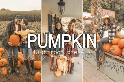 Warm Mobile & Desktop Lightroom Presets Bundle