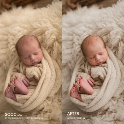 Jessica G Wicker Lightroom Presets v2025