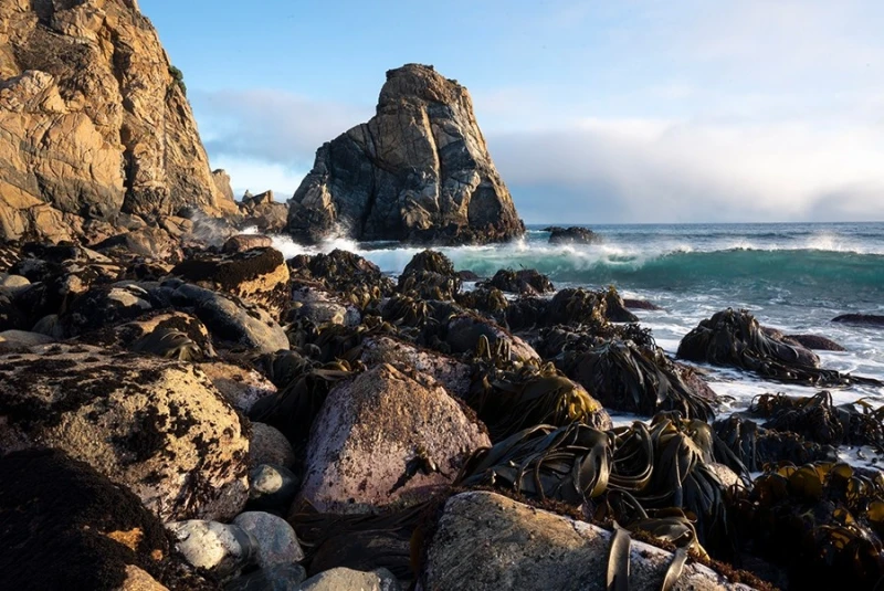 William Patino Dramatic Light Lightroom Presets - after_version_alt