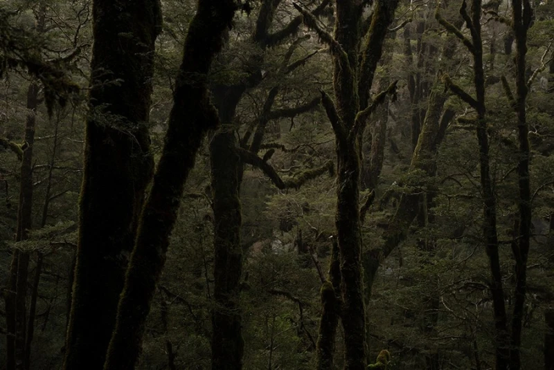 William Patino Dramatic Light Lightroom Presets - before_version_alt