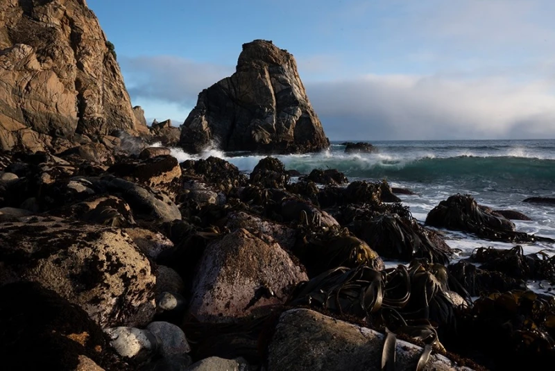 William Patino Dramatic Light Lightroom Presets - before_version_alt